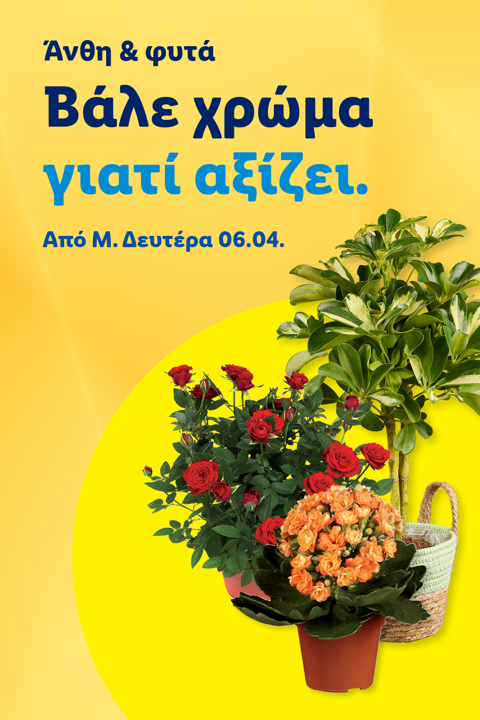 Διαφημιστική αφίσα για λουλούδια και φυτά, με τριανταφυλλιές, καλαγχόη και ένα φυτό εσωτερικού χώρου.