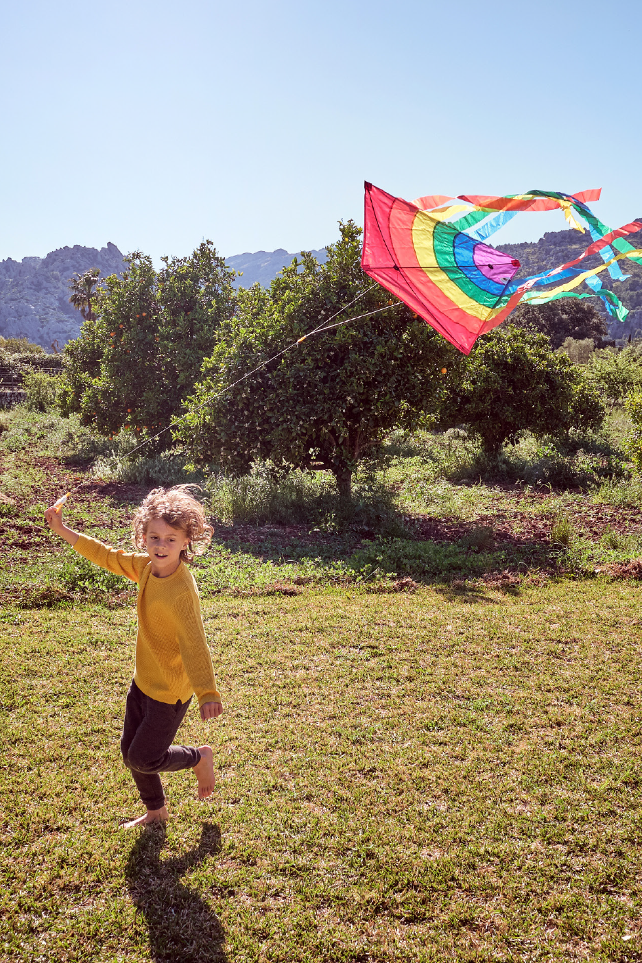 Παιδί με πολύχρωμο χαρταετό σε εξωτερικό χώρο με δέντρα και βουνά.