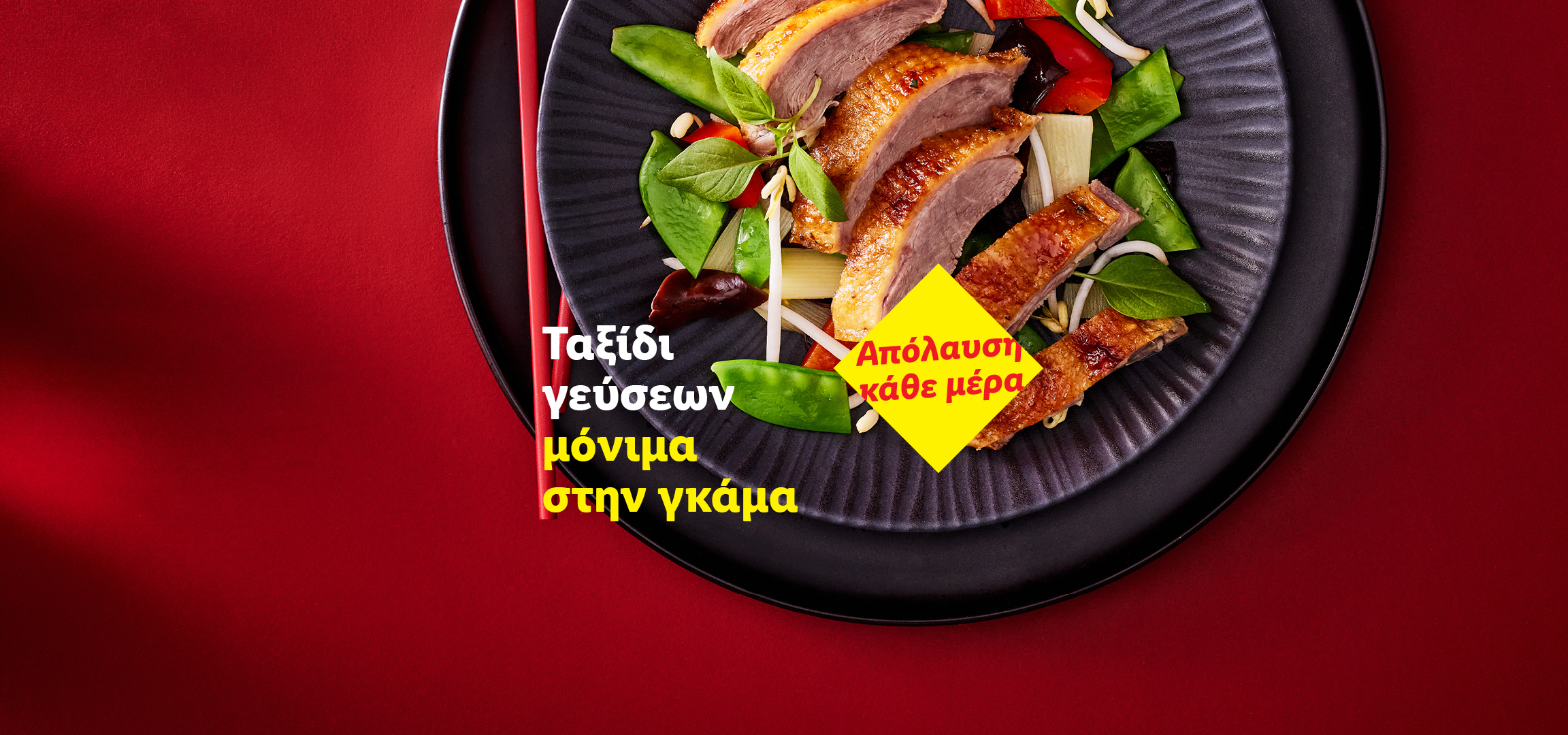 Πάπια με λαχανικά και noodles σε μαύρο πιάτο, με κείμενο «Απόλαυση κάθε μέρα» και «Ταξίδι γεύσεων μόνιμα στην γκάμα».