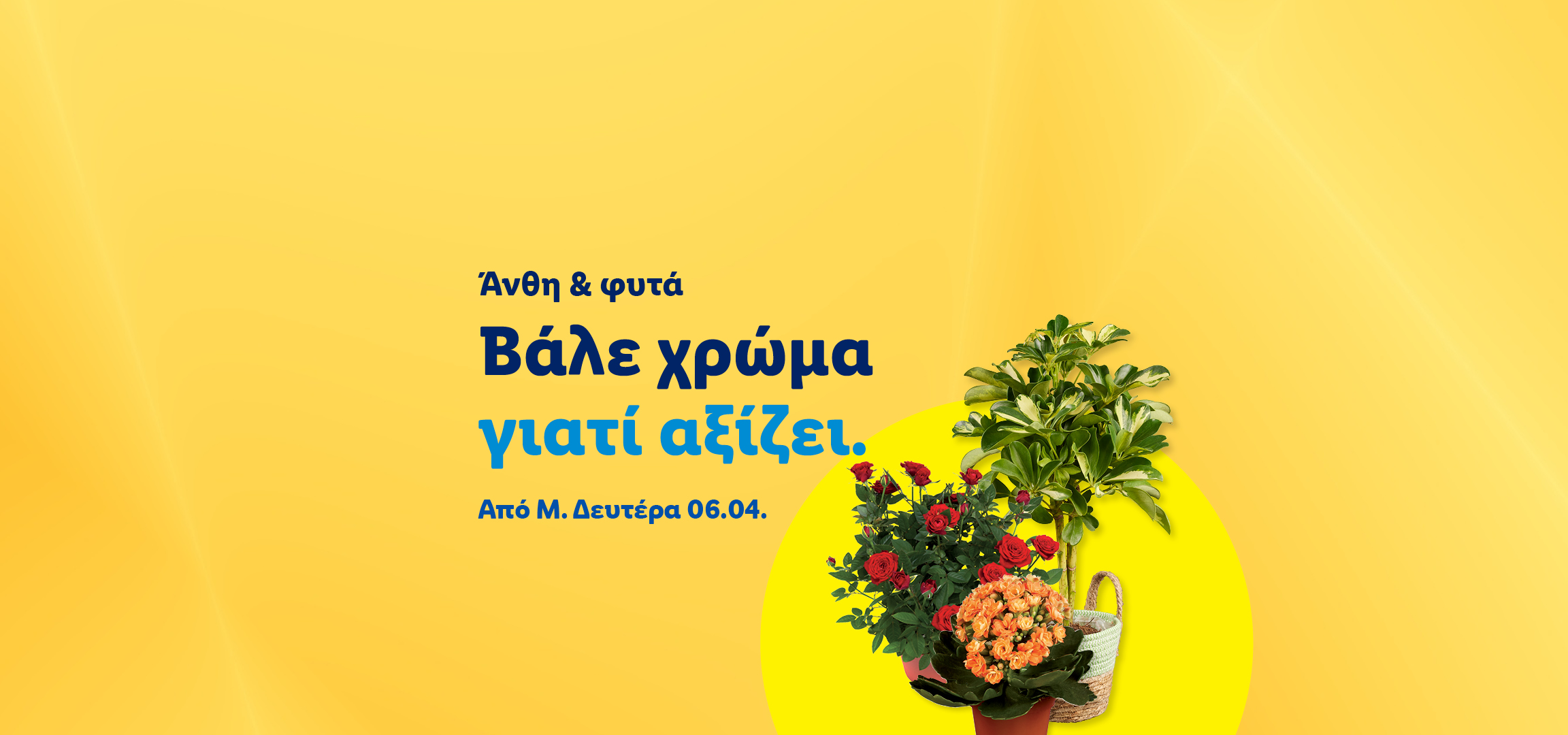 Ποικιλία από φυτά και λουλούδια, όπως τριαντάφυλλα και καλαγχόη, με κείμενο: «Άνθη & φυτά. Βάλε χρώμα γιατί αξίζει. Από Μ. Δευτέρα 06.04.»